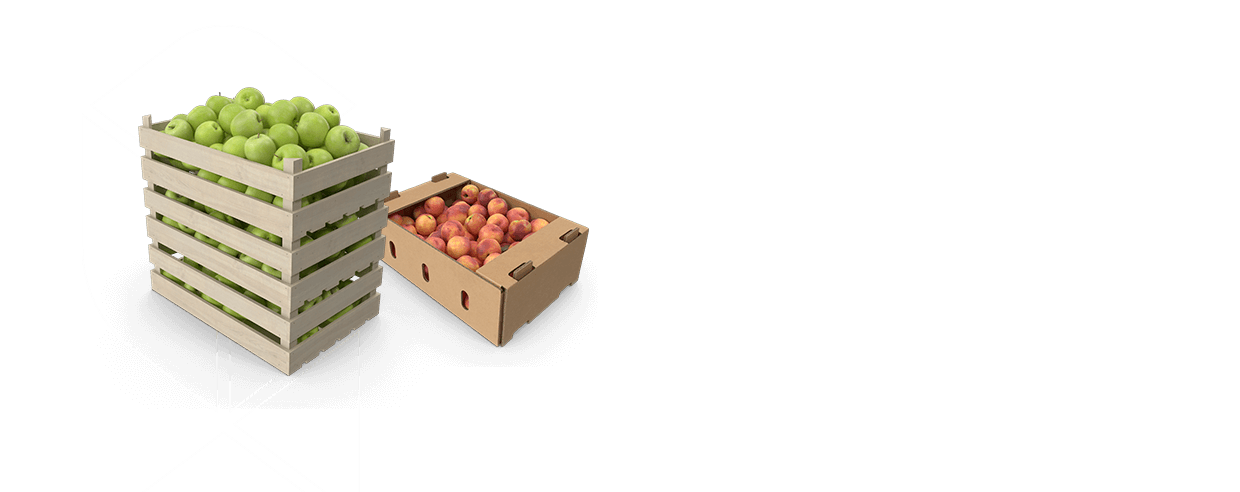 AGRÍCOLA - FRUTAS & HORTALIÇAS